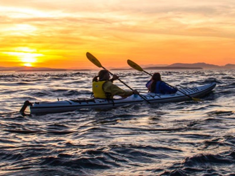 KAYAK ISLAND TOUR