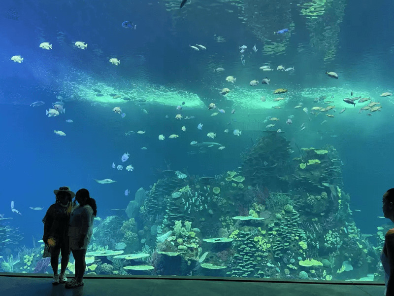 Mazatlan Aquarium